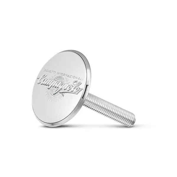 Styrhuvudskruv Campagnolo Logo Brevet International