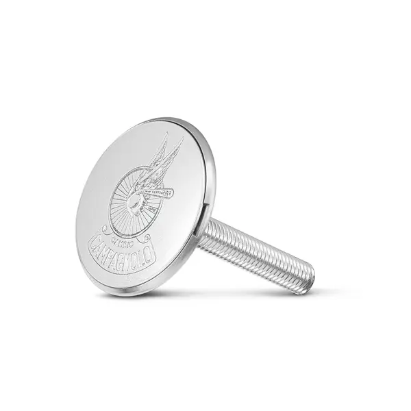 Styrhuvudskruv Campagnolo Logo Roue Ailee