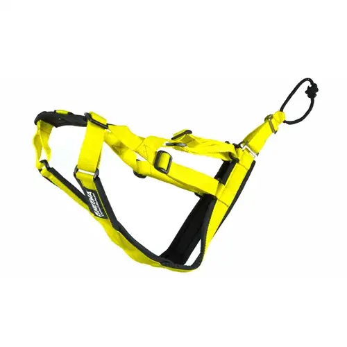 Hundsele Neewa Sled Dog - X-Back Yellow