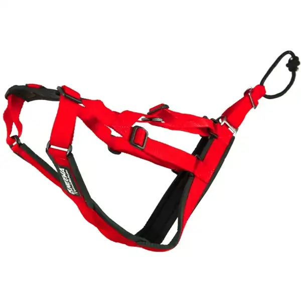 Hundsele Neewa Sled Dog - X-Back Red