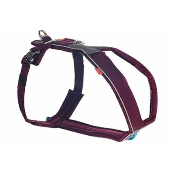 Hundsele Non-Stop Dogwear Line Harness Lila