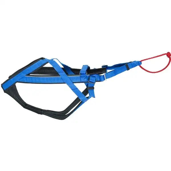 Hundsele Neewa Adjustable - Dragsele Blå