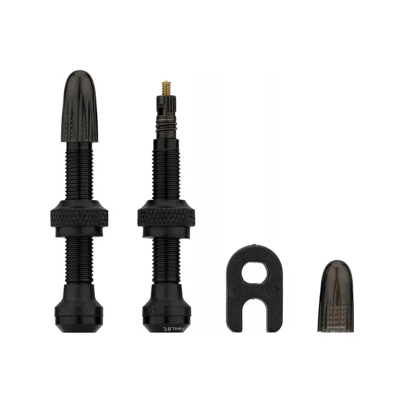 Sats med ventiler Schwalbe Tubeless (x2)