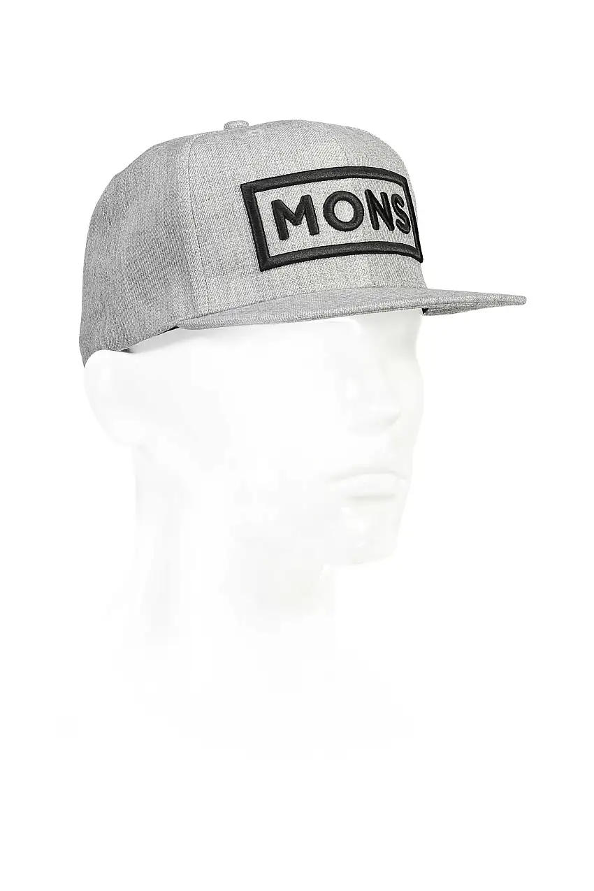 Snapback Mons Royale Wool Connor grå one-size