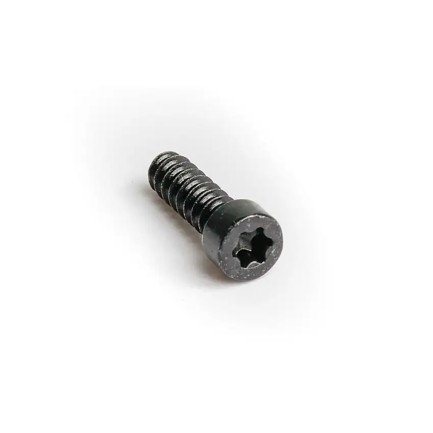 Magura Bromshandtag fixing bolt