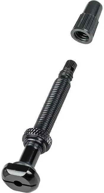 Tubelessventil Bontrager TLR Round 50 mm svart