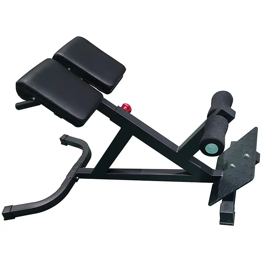 Master Fitness Ryggbänk