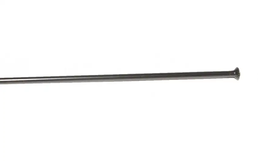DT Swiss Competition 256 mm straightpull