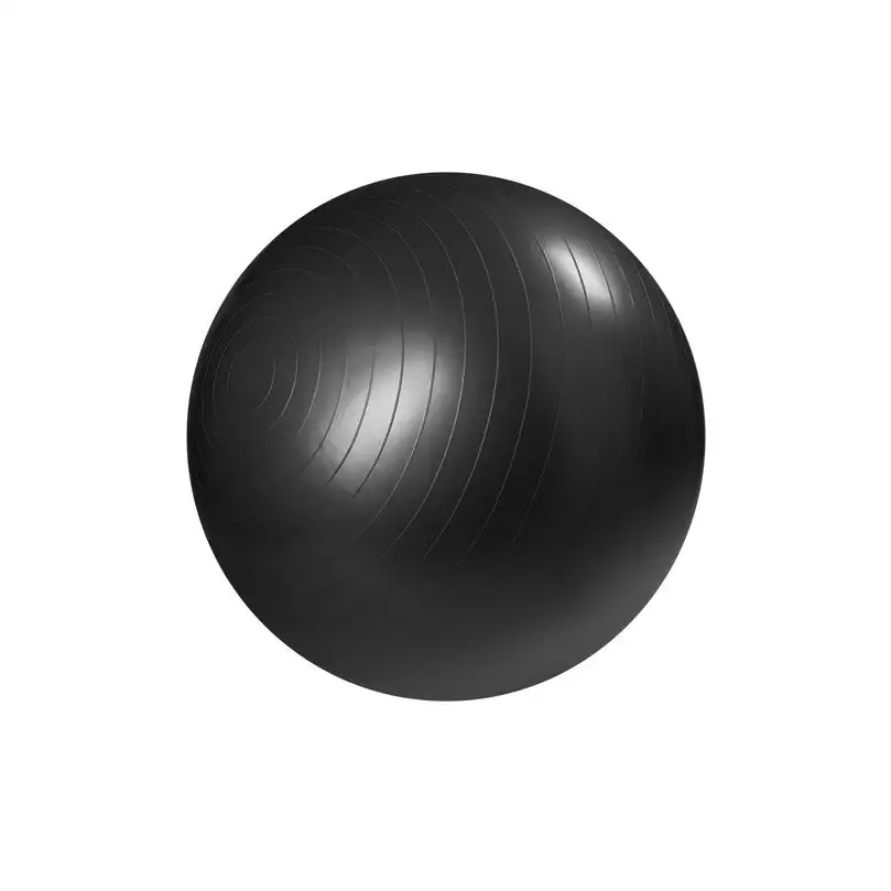Master Fitness Gymboll 55 CM