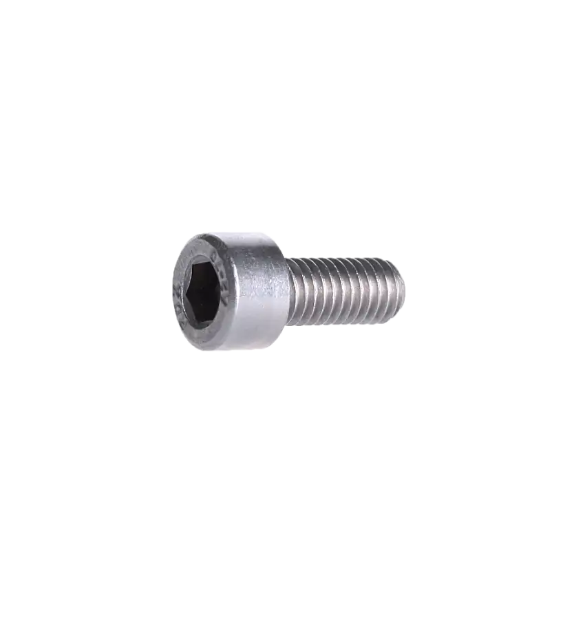 Insexskruv 5 mm rostfri
