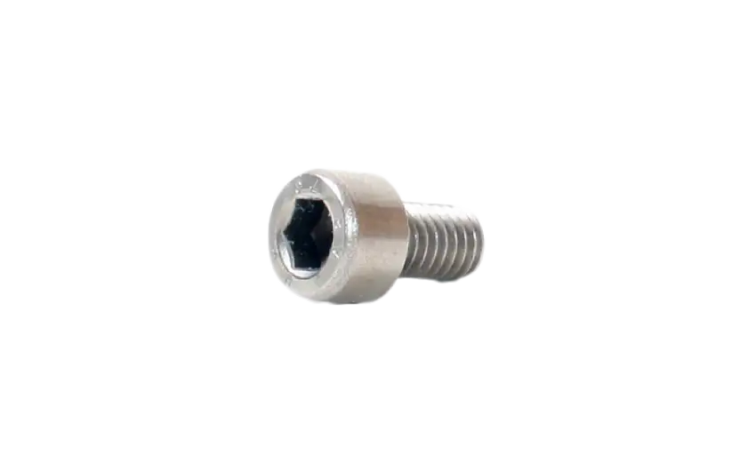 Skruv 6 mm insex rostfri, valfri längd