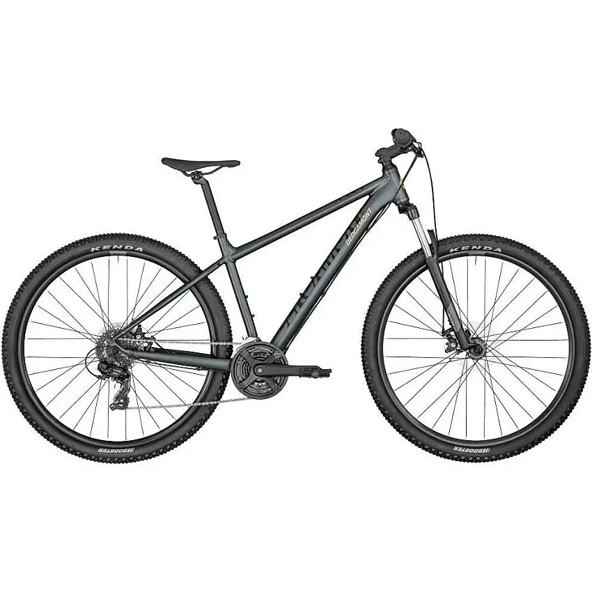 MTB Bergamont Revox 2 Grå 29"