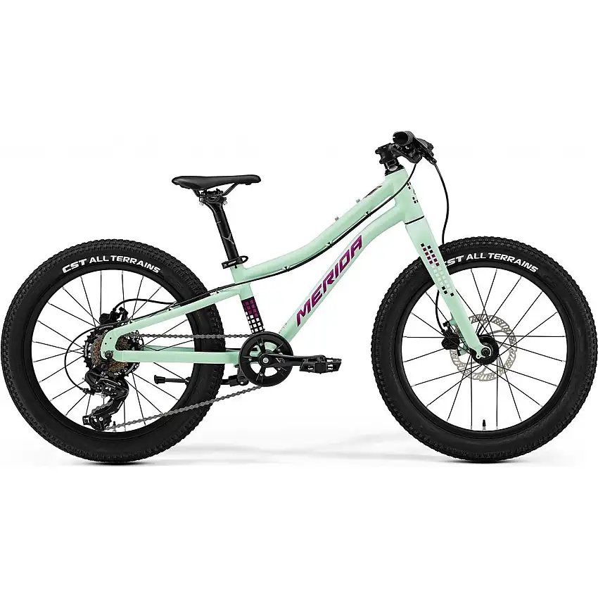 Barncykel Merida Matts J.20+ Matt Mint/Purple
